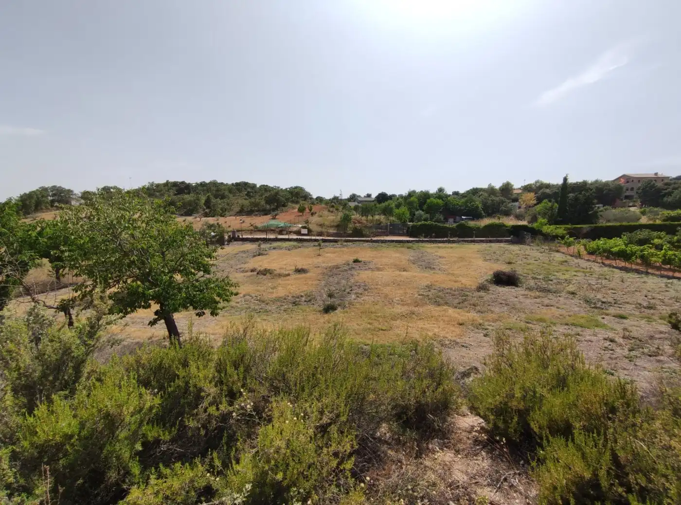 Terreny residencial en venda a Loranca de Tajuña, imagen 28