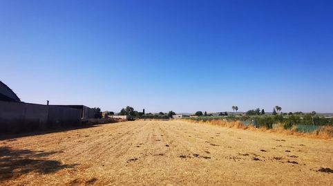 FINCA RUSTICA EN SANTA FE, immagine 2