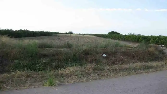 Terrain rustique à vendre à Sc SUZRT-2, imagen 7