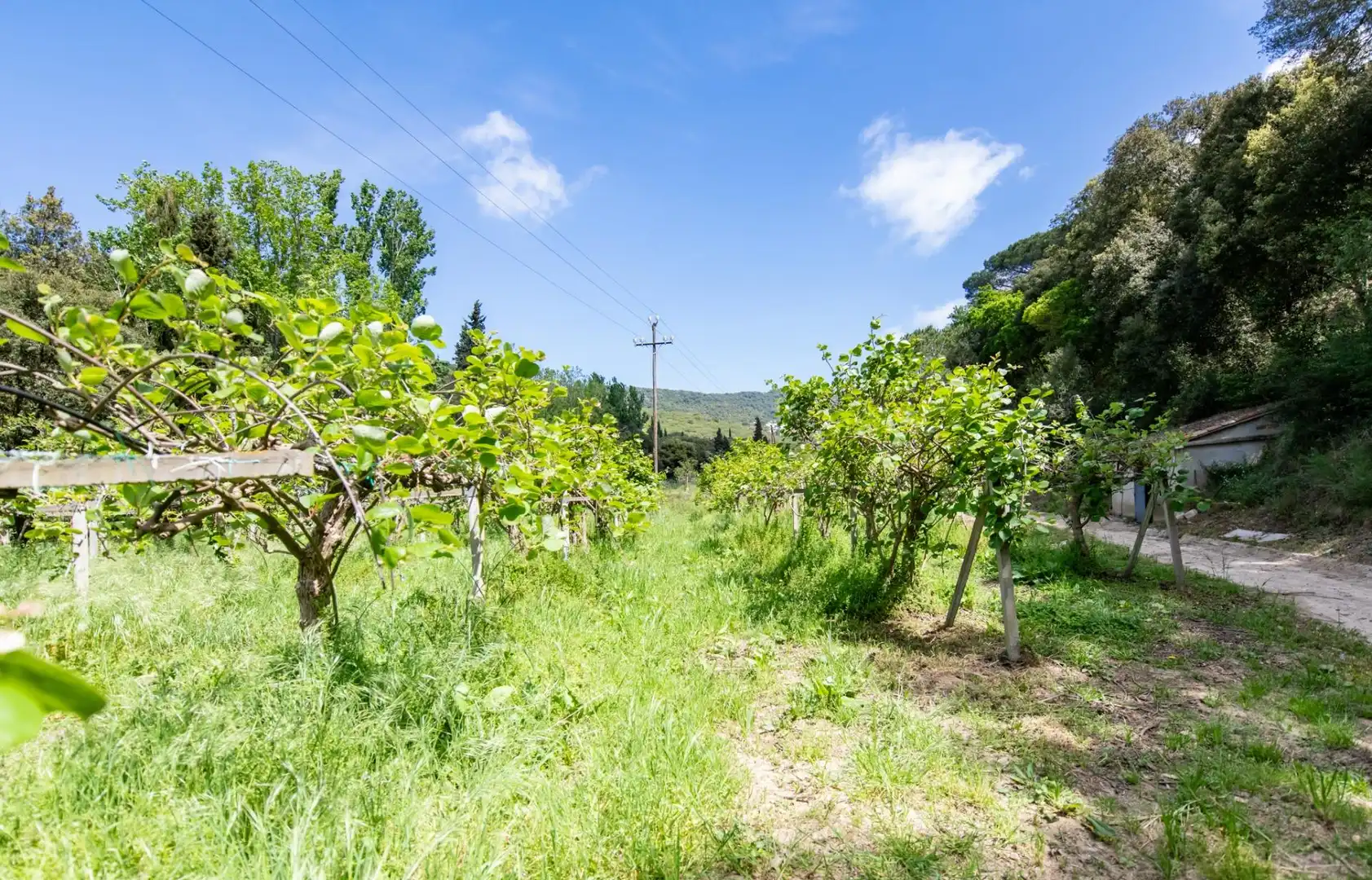 Casa rústica con terraza en venta en Camino Camí Can Cabot de Munt, imagen 45