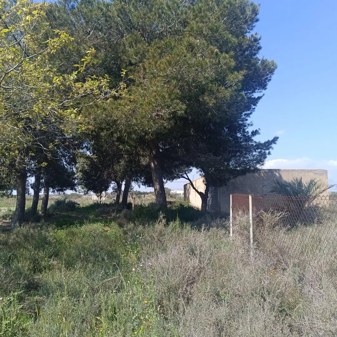 Terrain rustique à vendre à La Marina, imagen 12