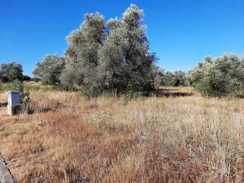 Terreno industrial en venta en Escalona