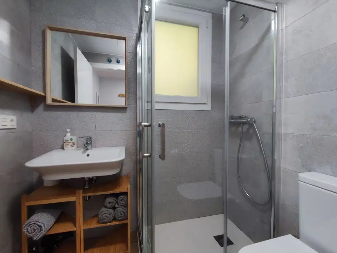 Flat for rent in Paseo casares, Altza