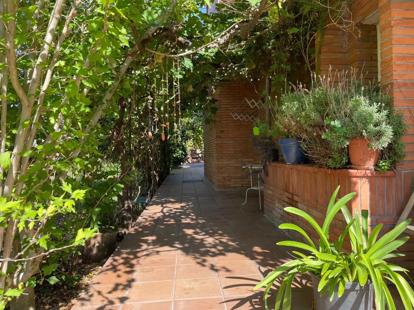 Casa con giardino in vendita a Calle Mimosa, imagen 10