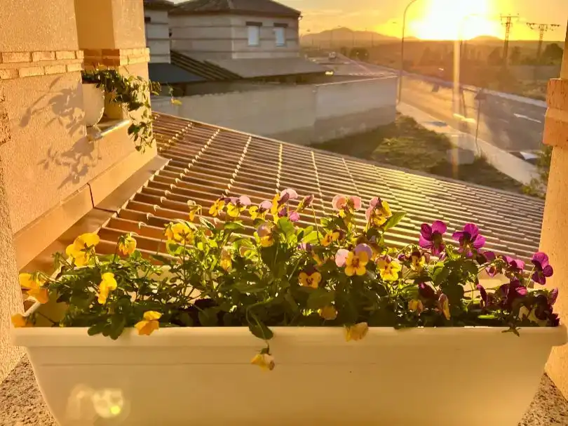 Terraza de Casa o chalet de alquiler en Argés con Aire acondicionado, Jardín privado y Trastero