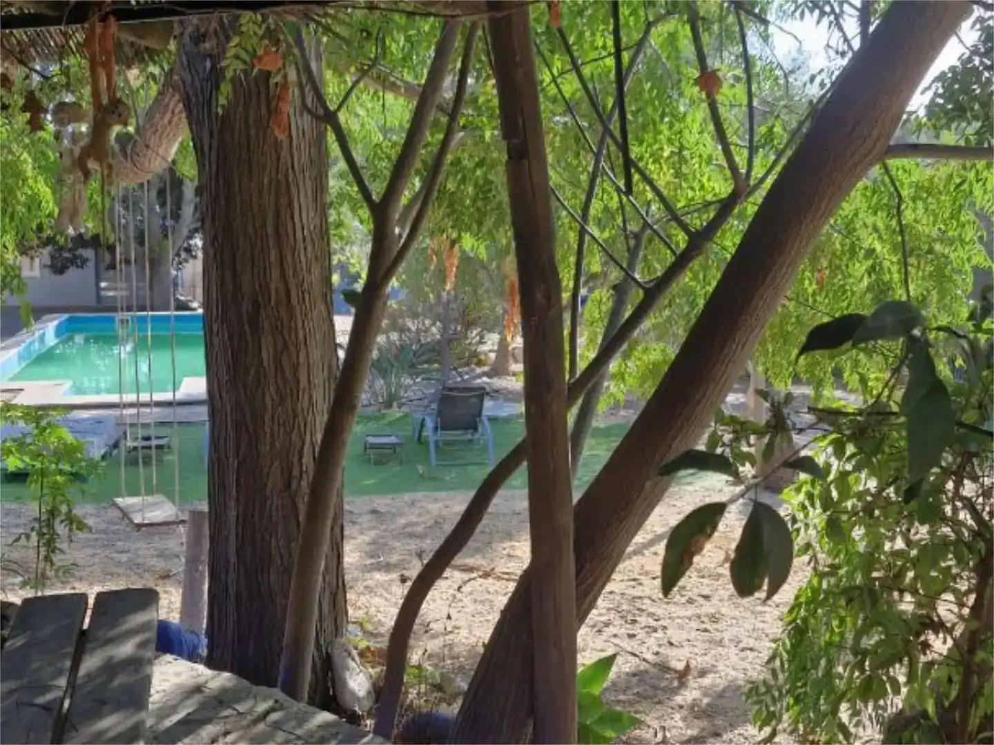 Garden of Houses for rent in Barbate  with Private garden, Parquet flooring and Swimming Pool