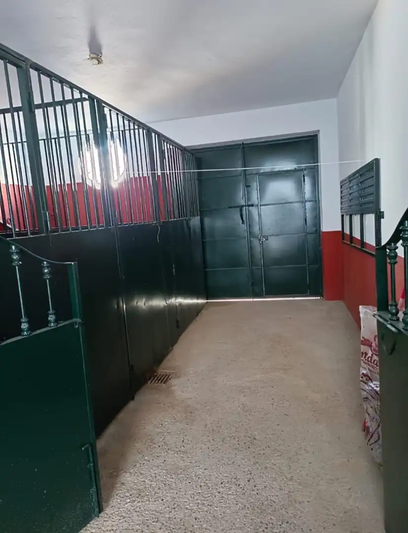 Casa amb terrassa en venda a Calle Vetalengua, imagen 19
