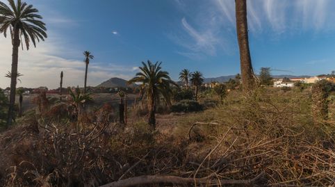 Foto 4 de Finca rústica en venta en Tafira, Las Palmas de Gran Canaria