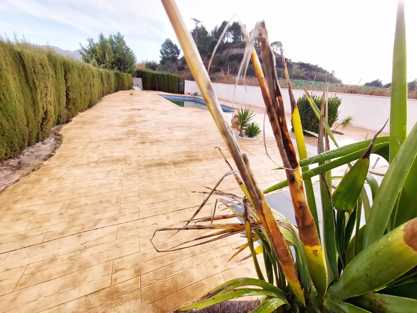Chalet con piscina en venta en Calasparra, imagen 2