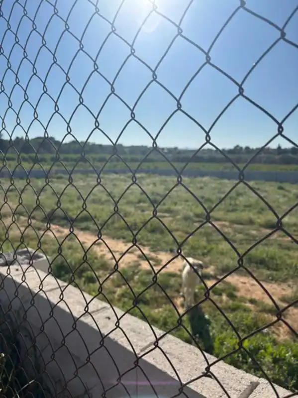 Residential land for sale in Polígono, imagen 7