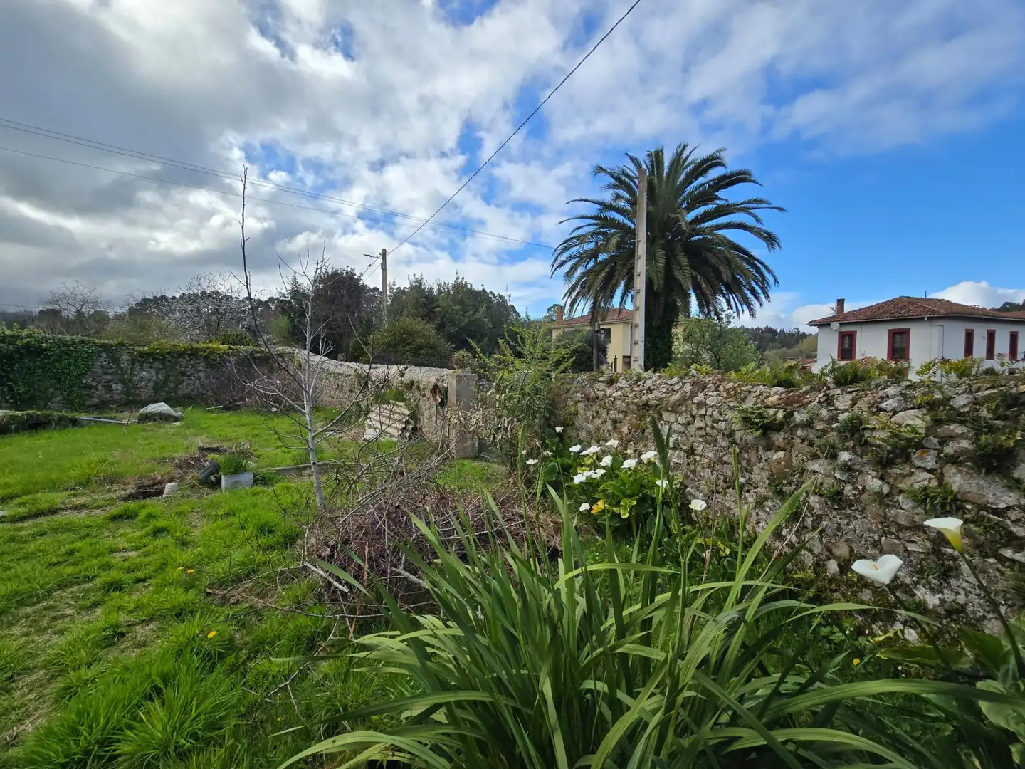 Casa amb jardí en venda a nueva, imagen 34