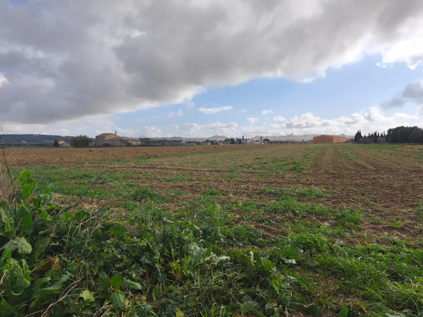 Terreno rustico in vendita a Montuïri, imagen 2