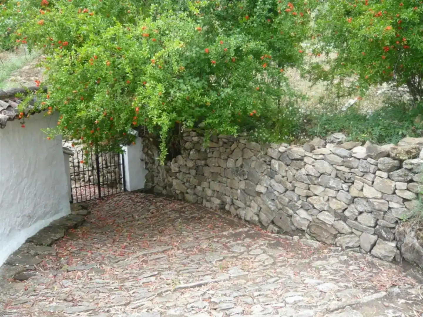 Vista exterior de Finca rústica en venda en Grazalema amb Jardí privat i Moblat