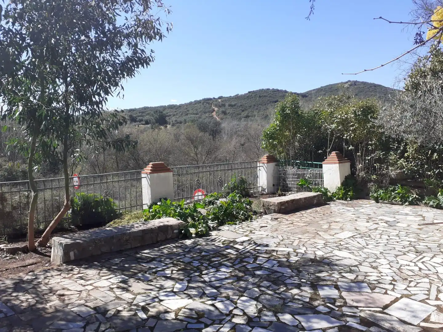 Terreno rústico en venta en CR-721 153, imagen 5