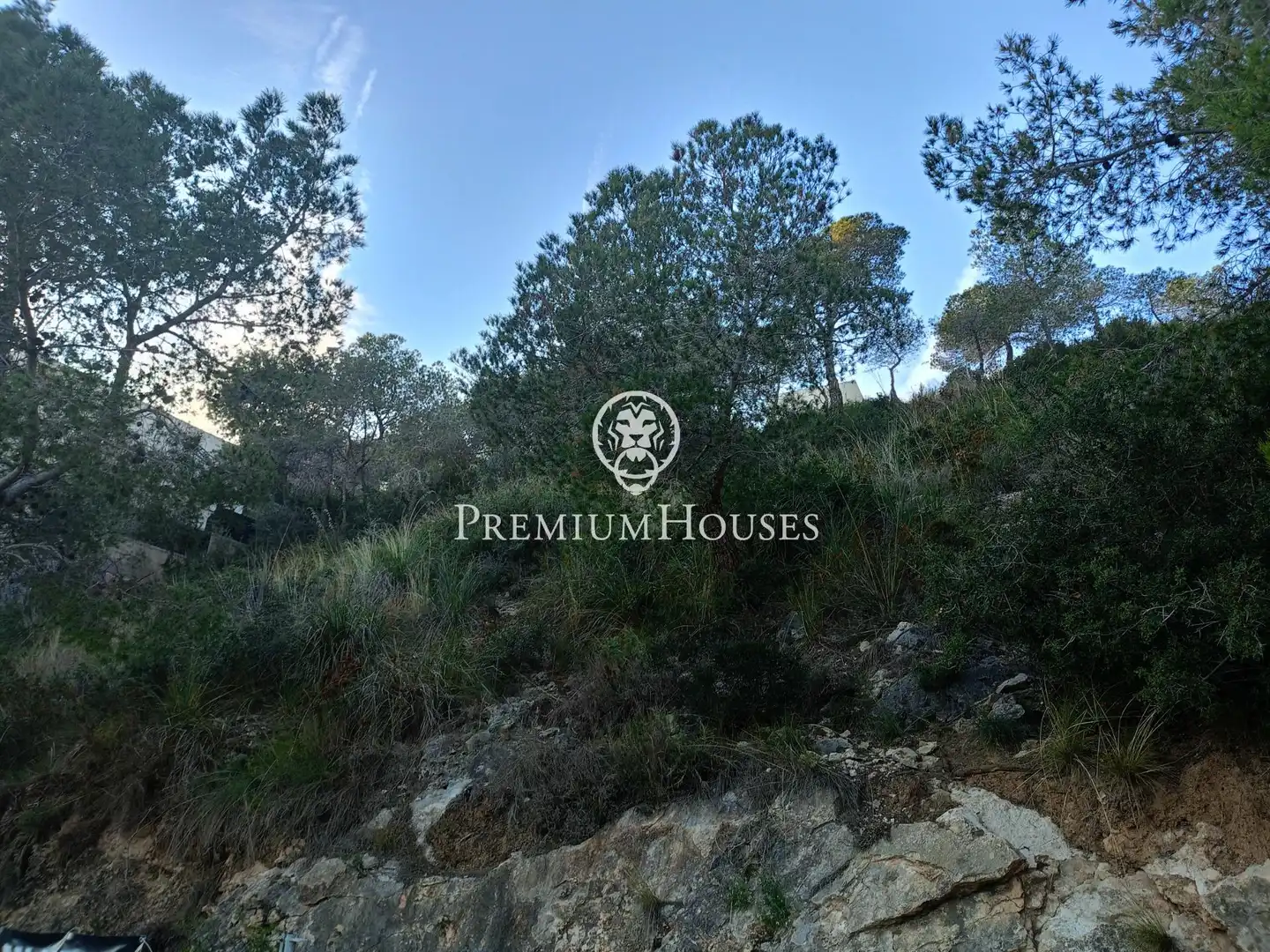 Terreny residencial en venda a Llevantina - Montgavina - Quintmar, imagen 8