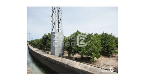 Finca Rustica  Venta Algemesí, imagen 3