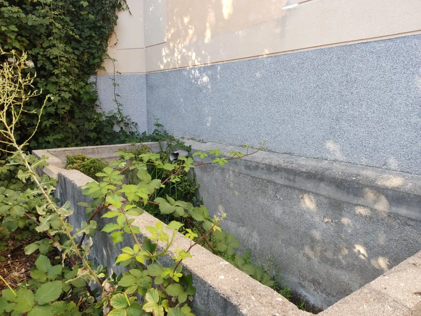 Vista exterior de Casa o xalet en venda en Jarandilla de la Vera amb Jardí privat