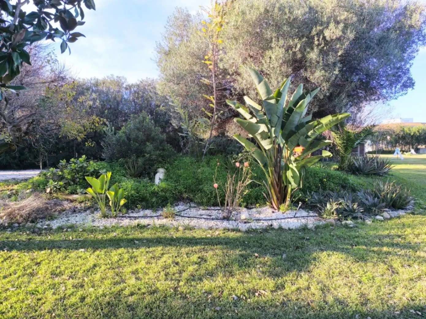 Villa mit Pool zum Verkauf in Ondara, imagen 4