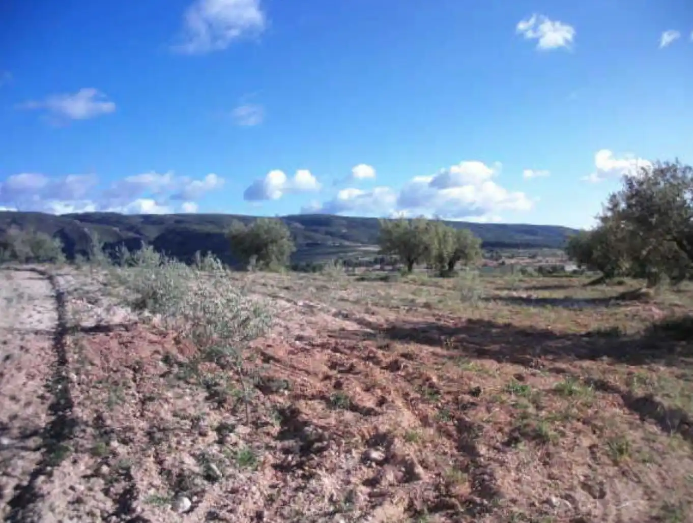 Rustikales Grundstück zum Verkauf in Paraje Casa Vila, imagen 7