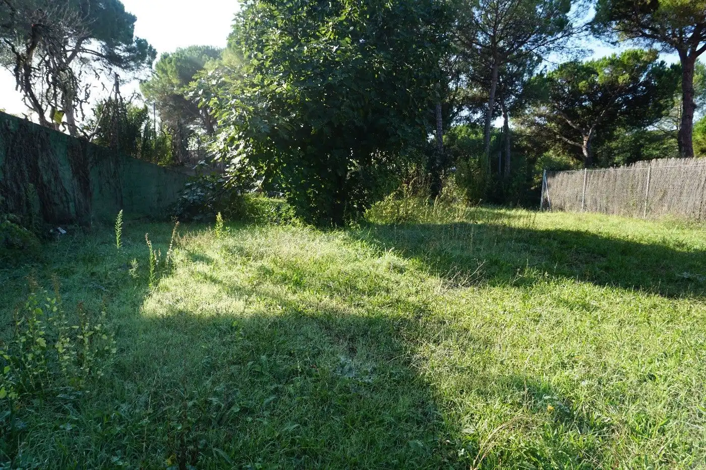 Terreny residencial en venda a Sant Antoni de Vilamajor, imagen 13