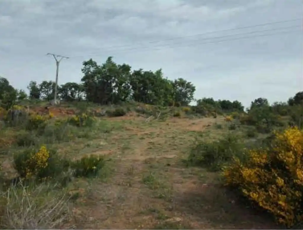Terreno rustico in vendita a CIUDAD RODRIGO, imagen 4