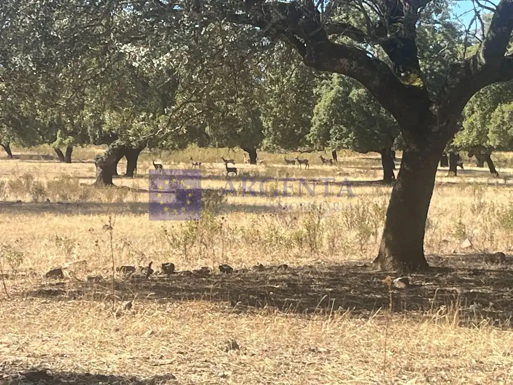 Casa en venda a Poligono 46 Paraje 617 La Covacha