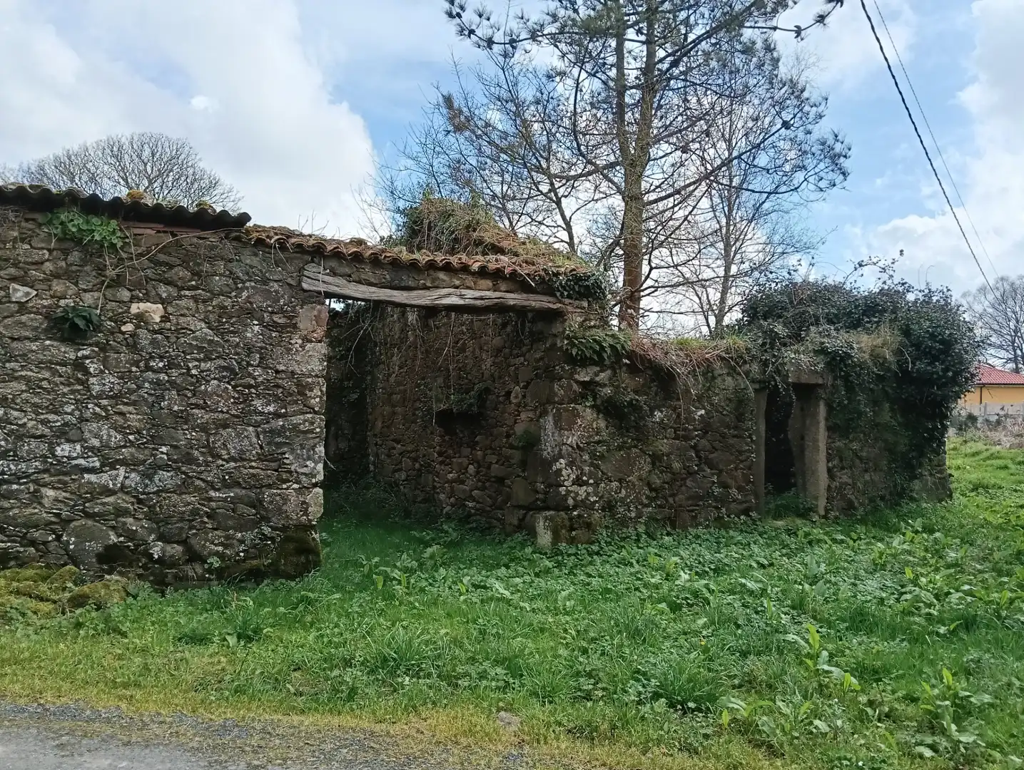 Adossat amb jardí en venda a Avenida Principal, imagen 9