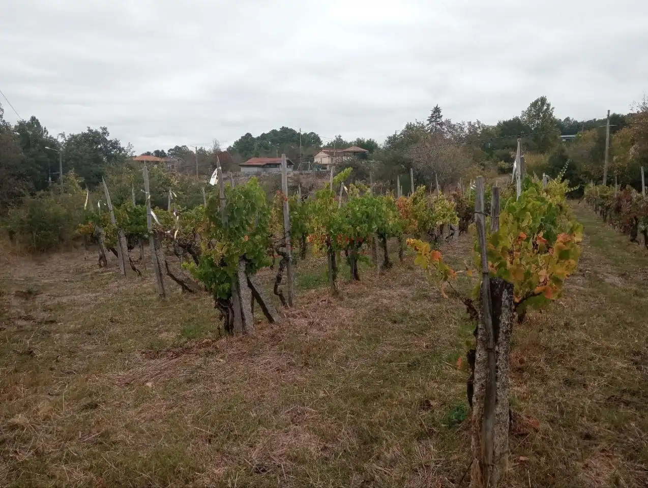 Residencial en venda en San Cibrao das Viñas