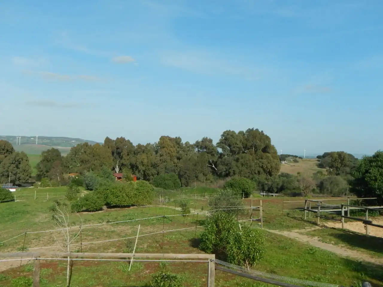 Garten von Haus oder Chalet zum Verkauf in Vejer de la Frontera mit Heizung, Privatgarten und Parkett