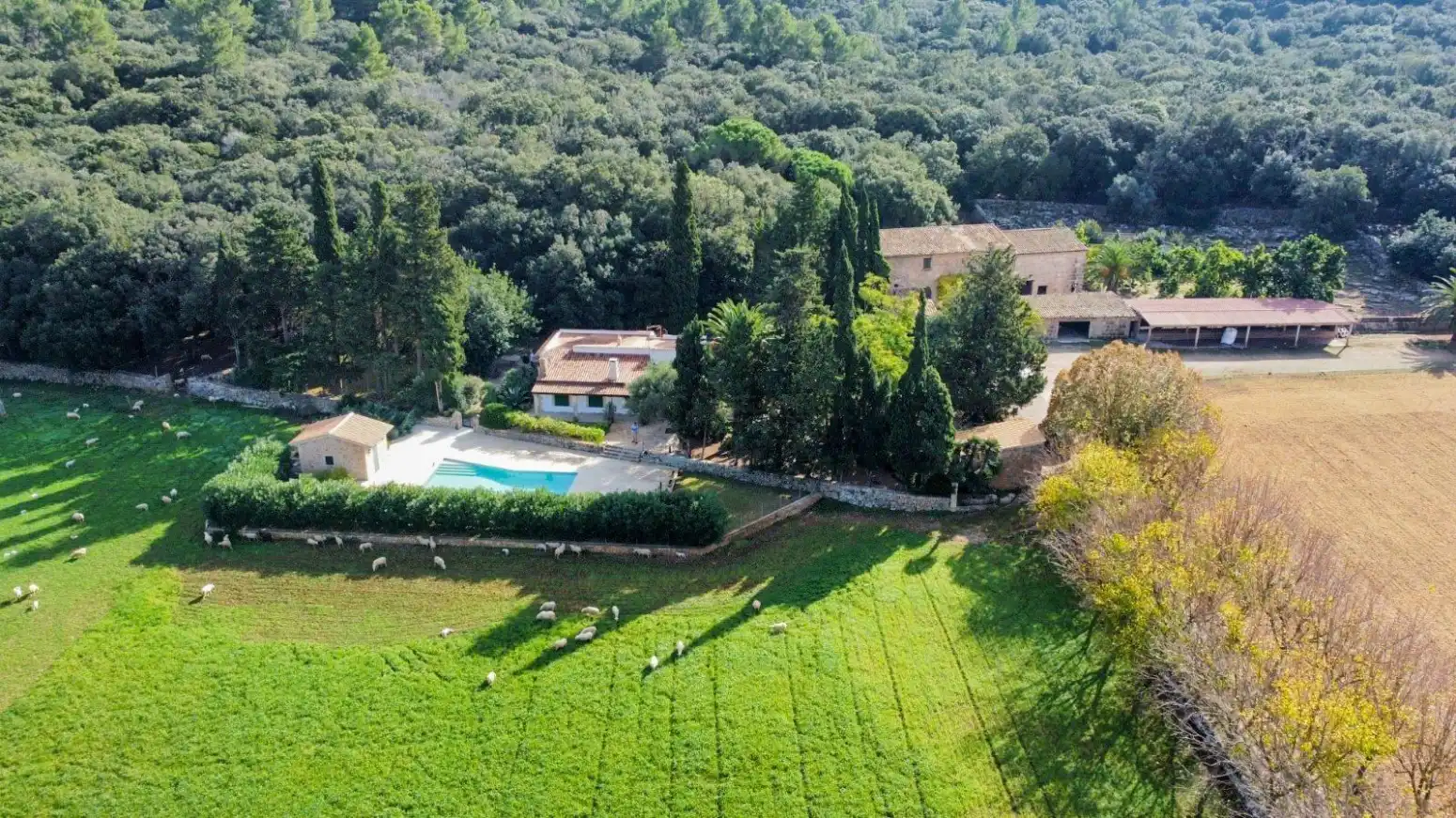 Garten von Haus oder Chalet zum Verkauf in Pollença mit Klimaanlage, Heizung und Terrasse