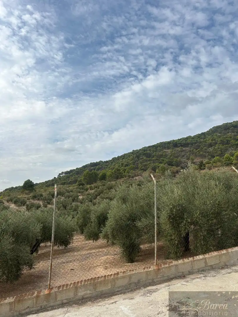 Xalet amb piscina en venda a Rute, imagen 32
