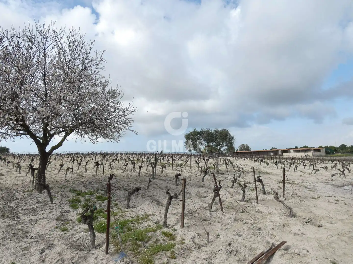 Rustikales Grundstück zum Verkauf in Ctra Jerez - Ctra del Puerto, imagen 16