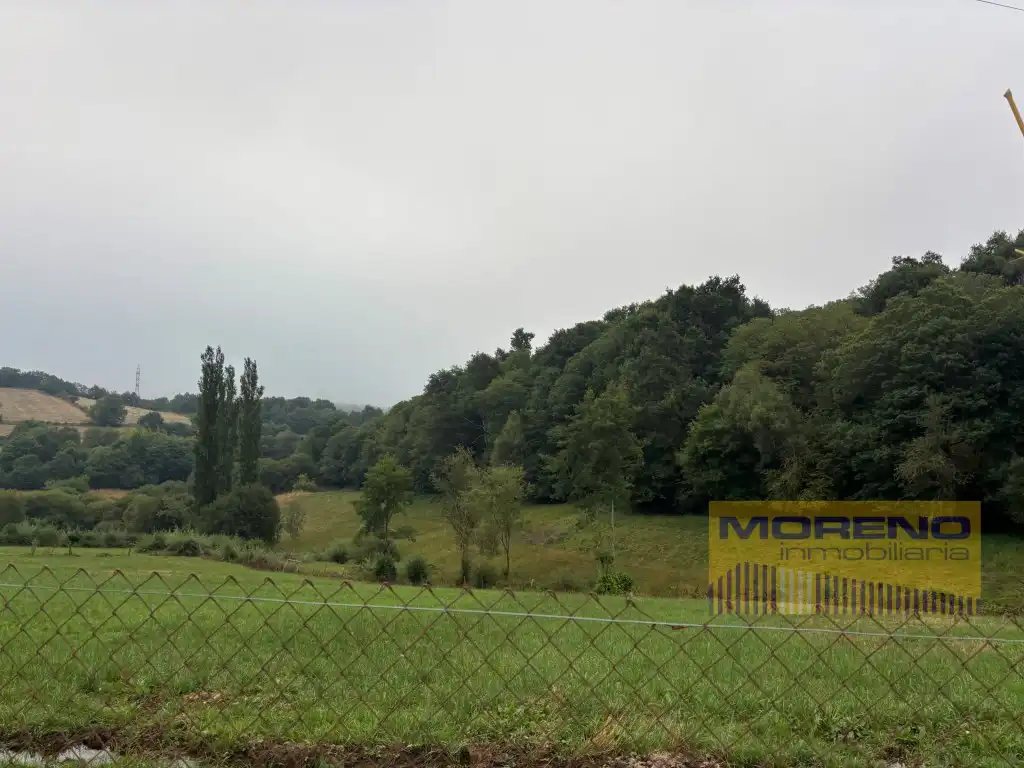 Finca rústica en venta en Becerreá