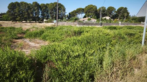 HellínFinca Rustica