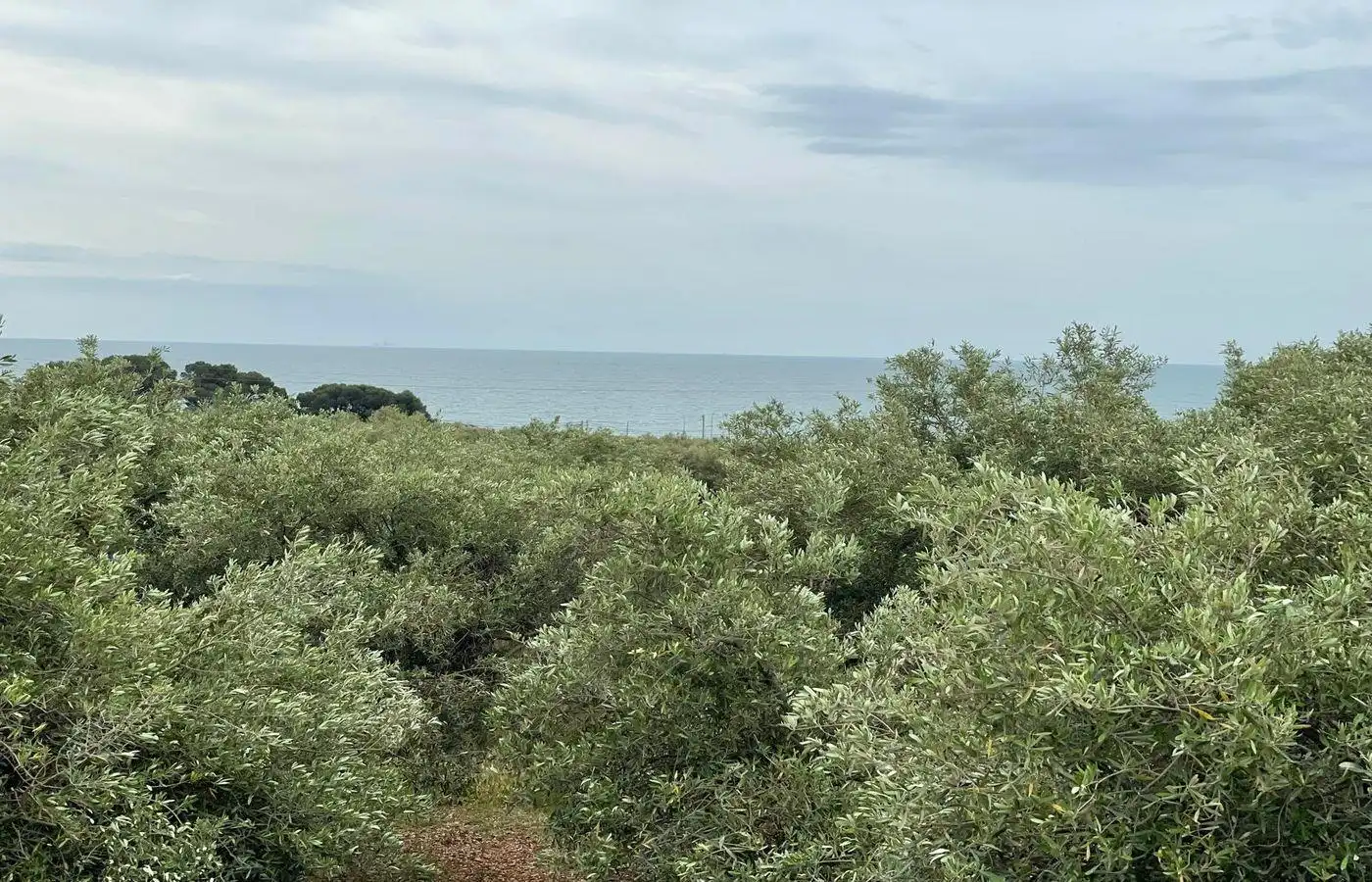Casa o chalet en venta en Alcanar con Jardín privado, Terraza y Trastero