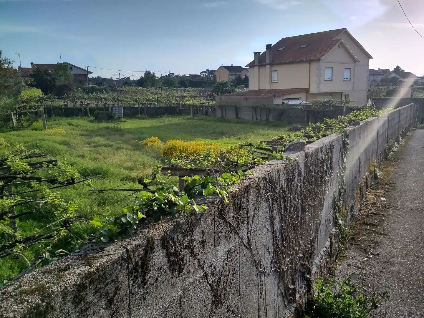 Terreno rustico in vendita a Fonte de Faxilde 13, imagen 8