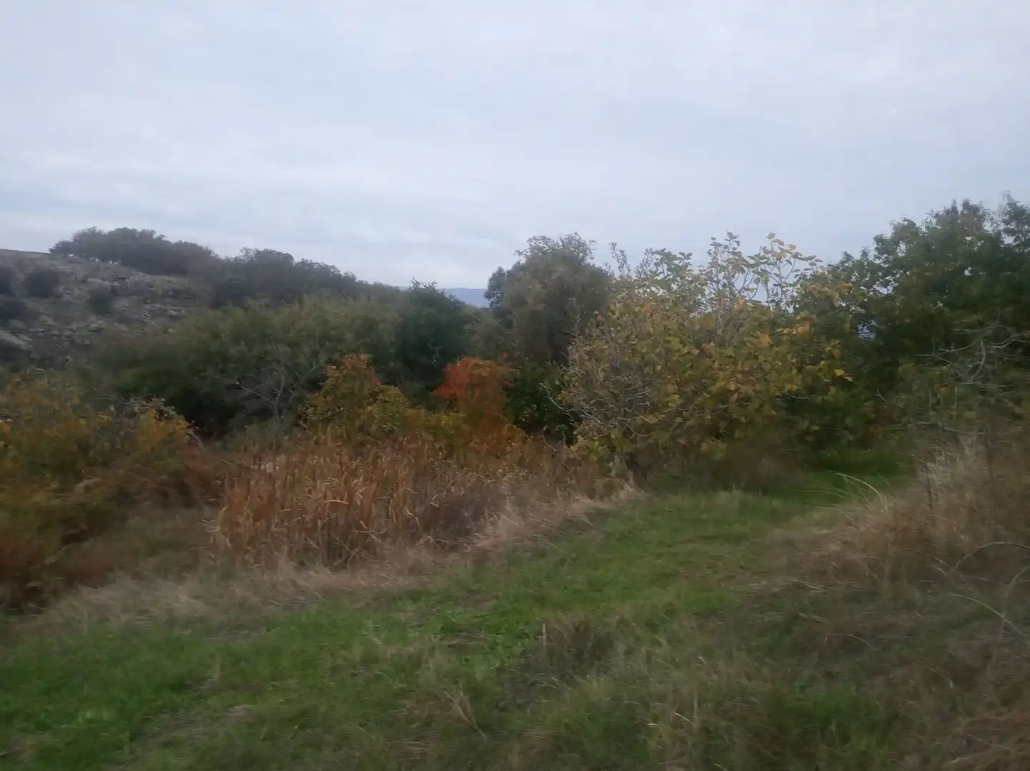 Terreni e lotti in vendita a Jarandilla de la Vera, imagen 9