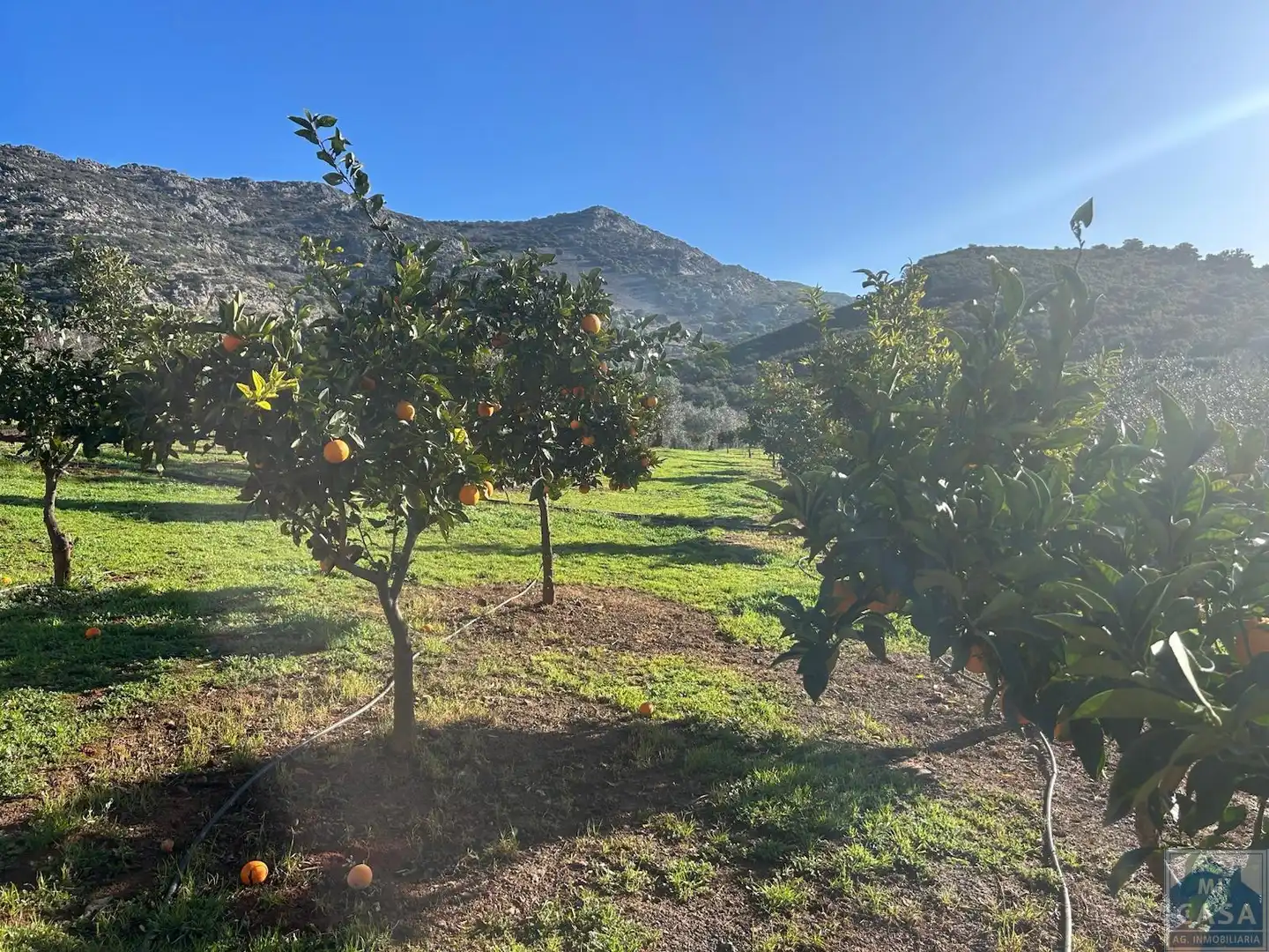 Casa o chalet en venta en Alange con Aire acondicionado, Calefacción y Terraza