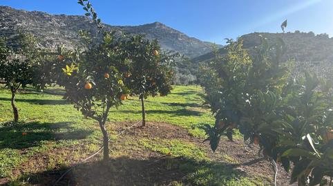 Photo 3 of House or chalet for sale in Alange, Badajoz