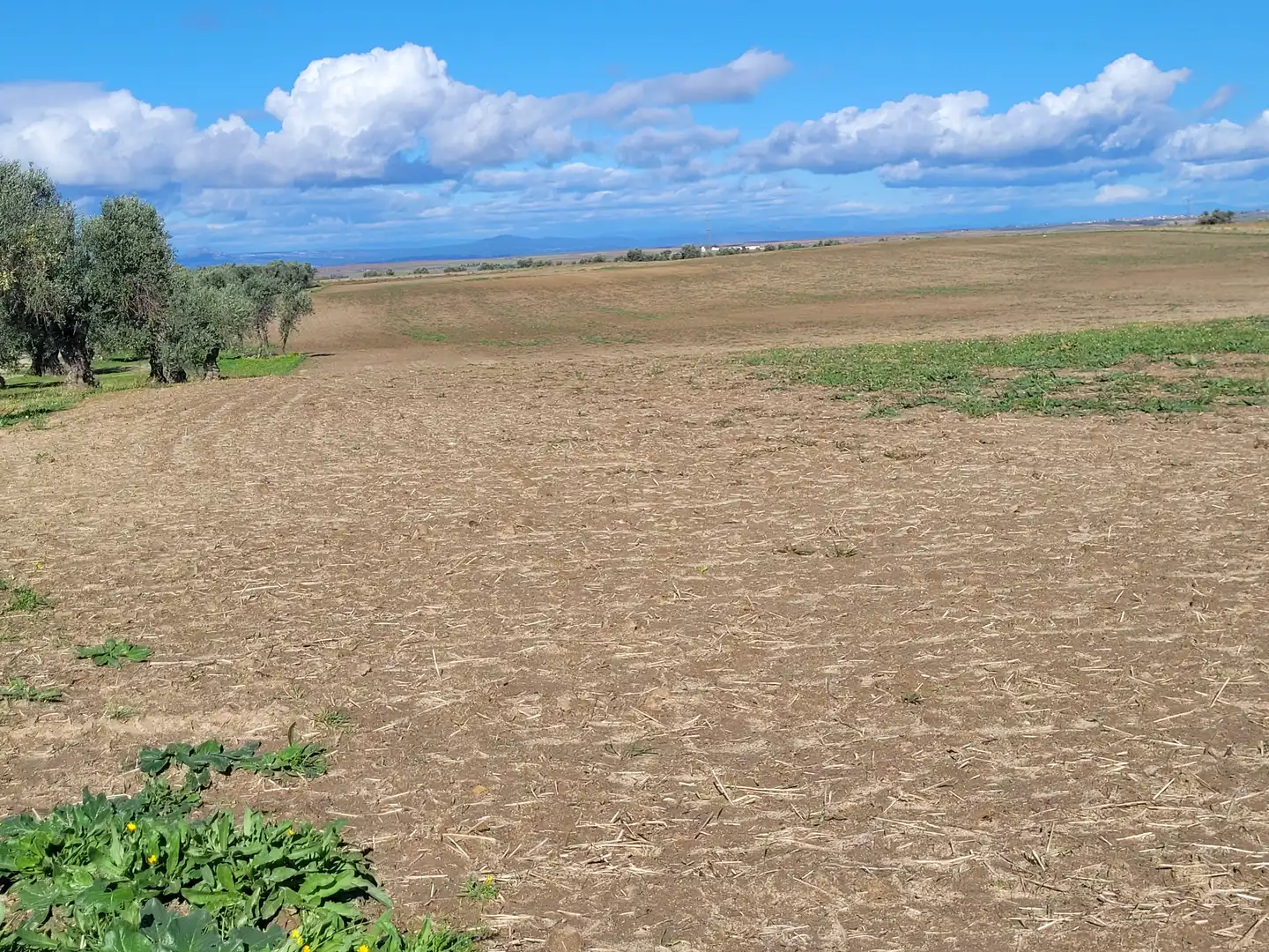 Rural land for sale in Santo Domingo-Caudilla, imagen 10