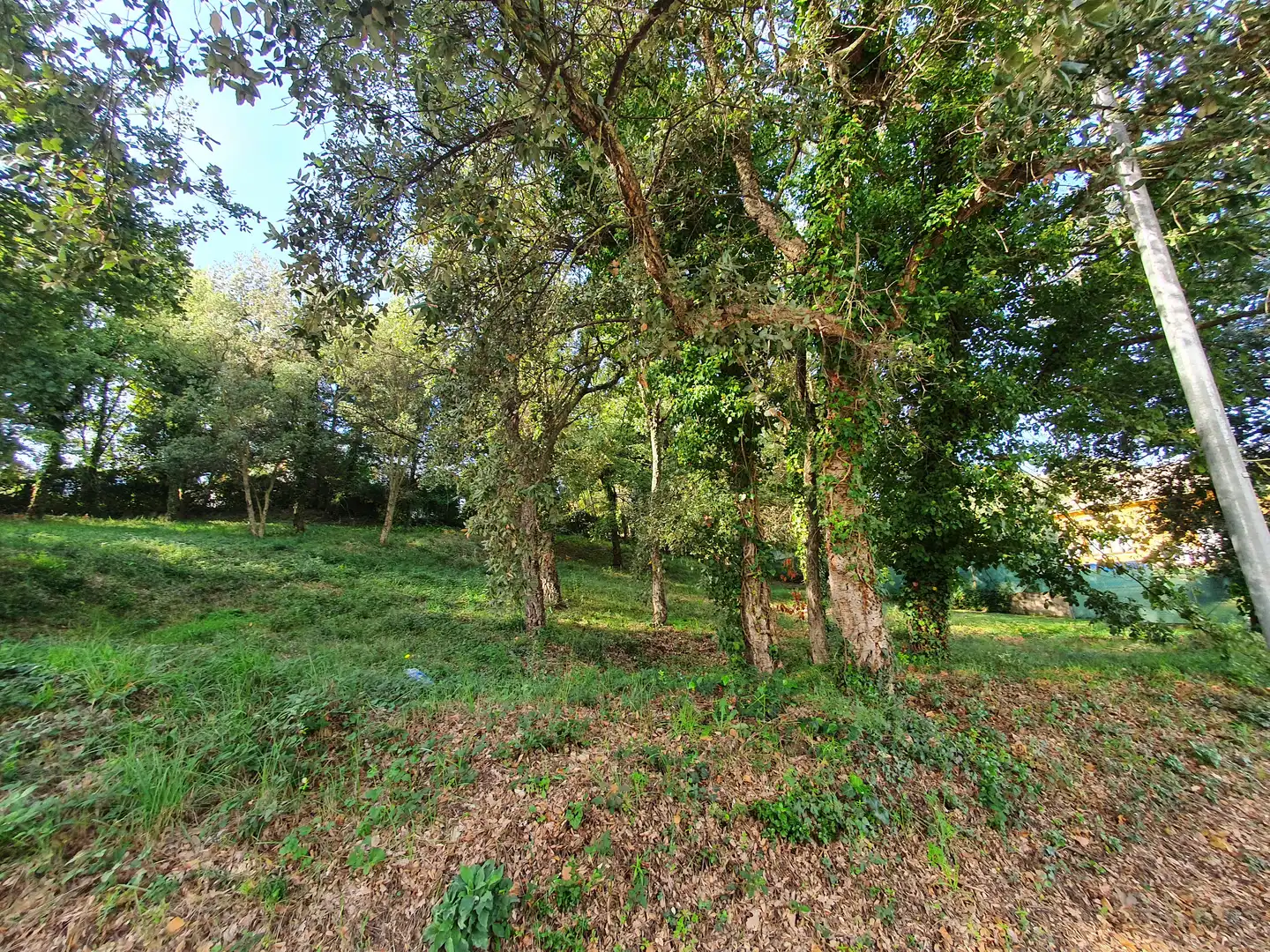 Wohnbaugrundstück zum Verkauf in Carrer del Alt Camp 8