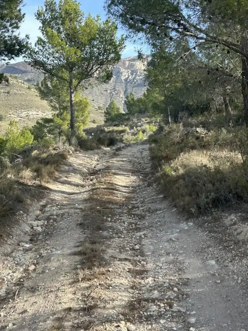 Vista exterior de Finca rústica en venda en Tibi