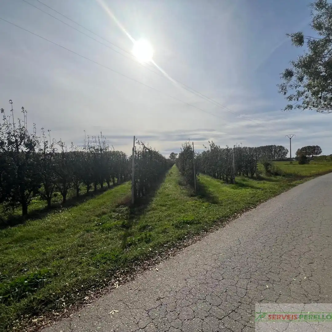 Terrenos y solares en venta en Golmés, imagen 10