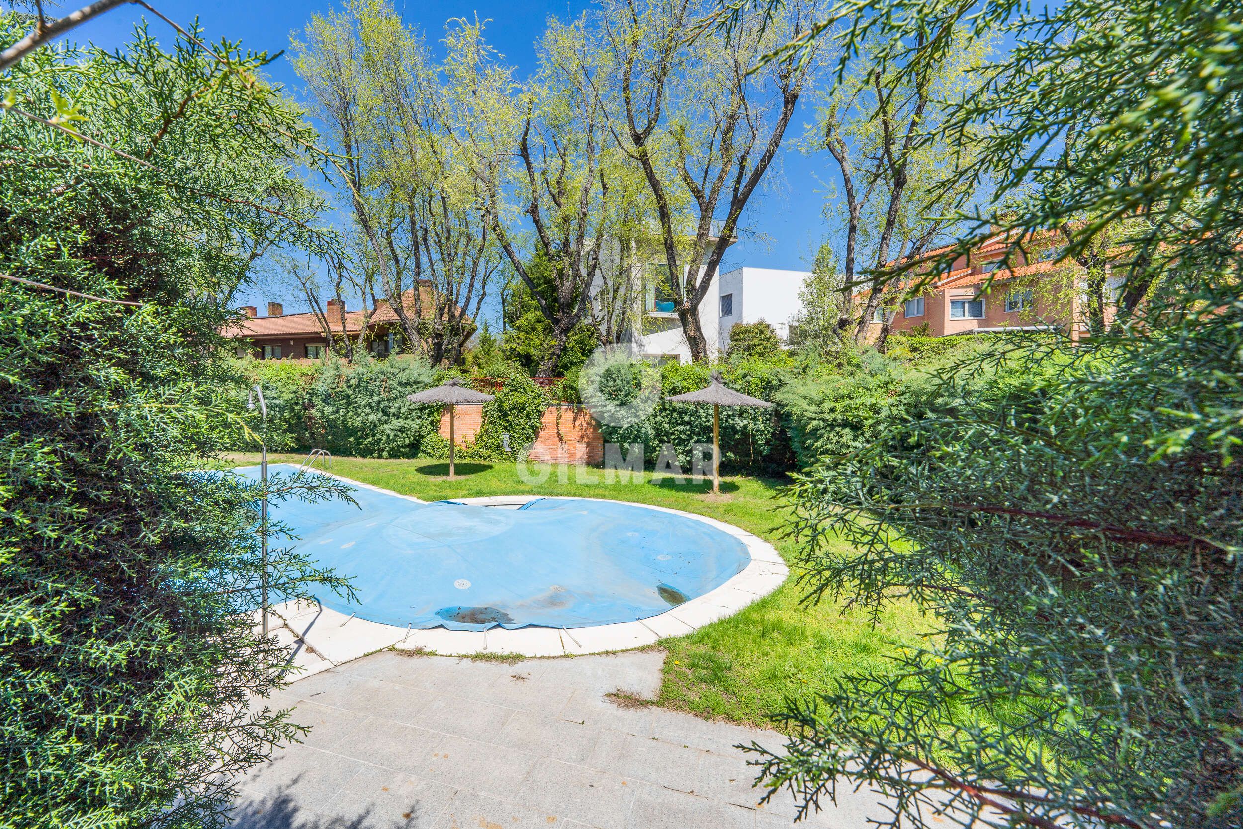 Garden of Single-family semi-detached for sale in  Madrid Capital  with Heating, Private garden and Swimming Pool