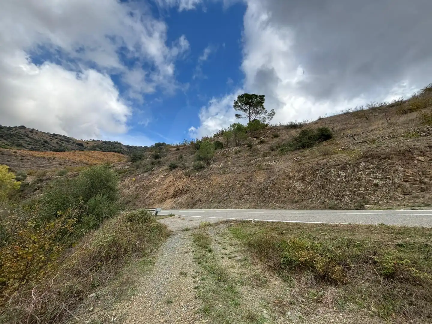 Terreno rústico en venta en Porrera, imagen 36