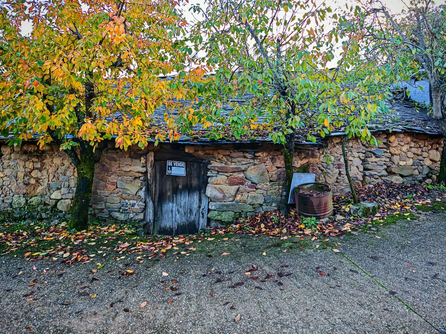 Vista exterior de Finca rústica en venda en Toreno