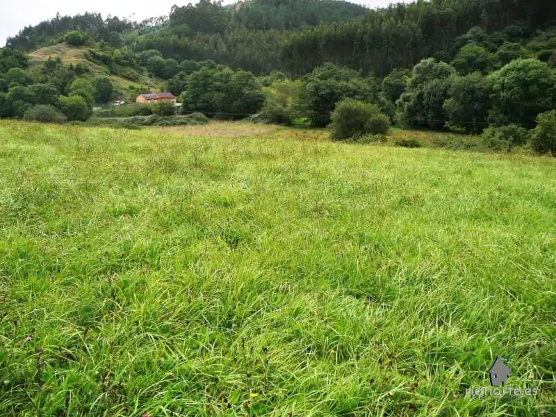 Terreno residencial en venta en Pillarno, imagen 4