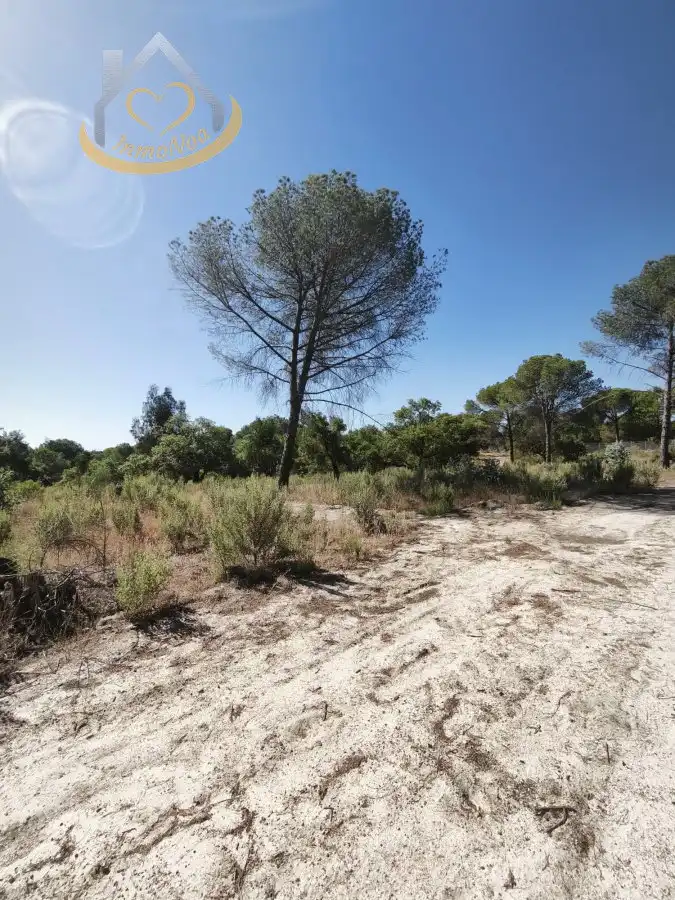 Terreni e lotti in vendita a Moguer, imagen 2
