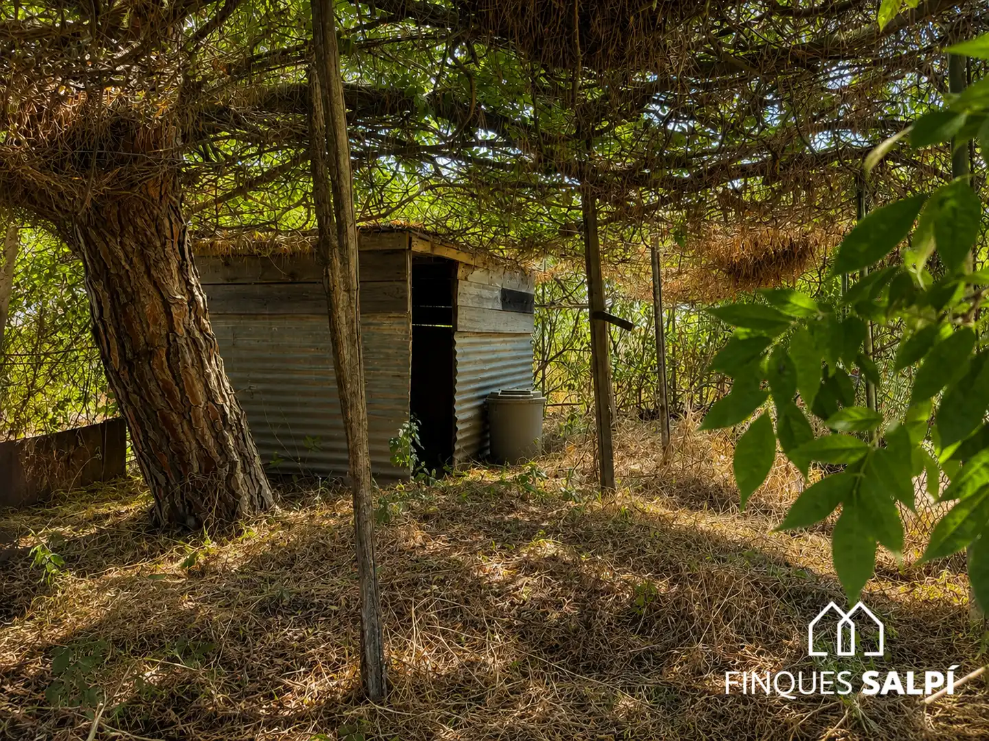 Vista exterior de Finca rústica en venda en Santa Cristina d'Aro amb Jardí privat