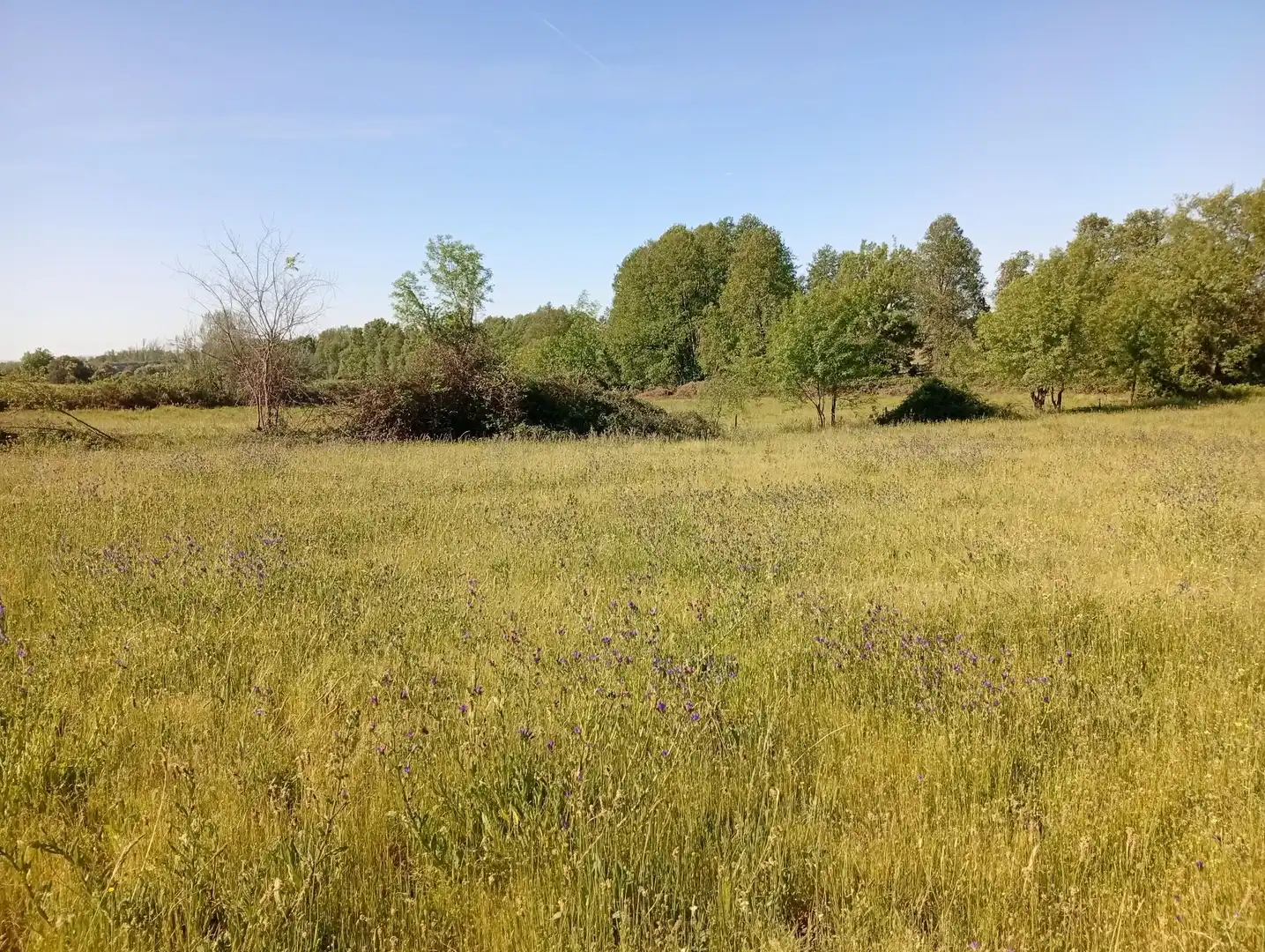 Terreni e lotti in vendita a Talaveruela de la Vera, imagen 65